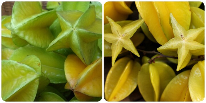 Trái khế có tác dụng gì?