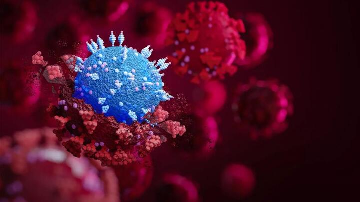 WHO cảnh báo dịch COVID-19 diễn biến phức tạp hơn