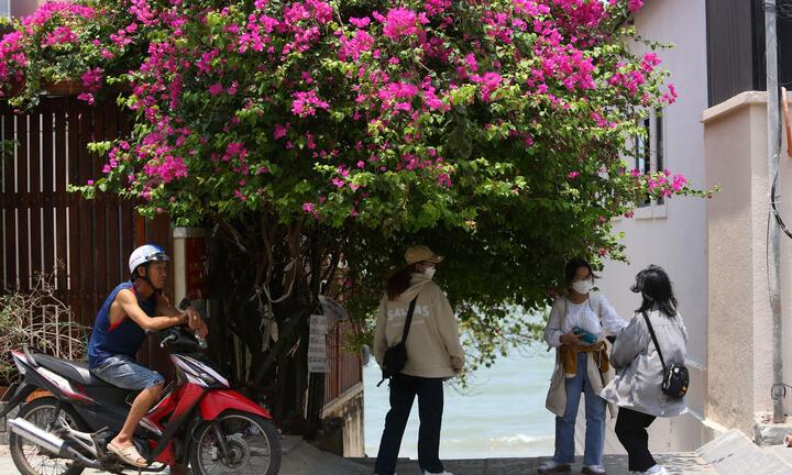 Ngắm cung đường OneWay Marathon Vũng Tàu 2023 ngợp sắc hoa giấy