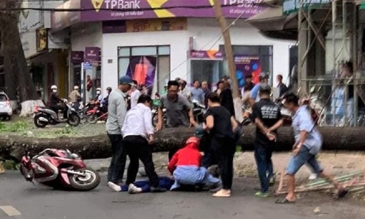 Cây xanh bật gốc đè người phụ nữ đi đường ở Đắk Lắk