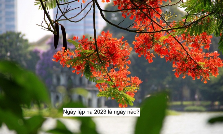 Ngày Lập hạ 2023 là ngày nào? 