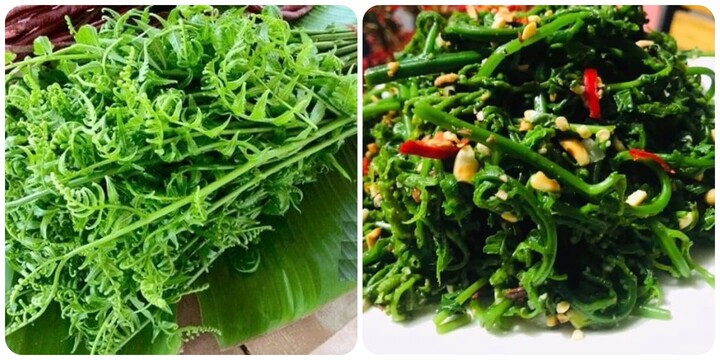 Rau dớn có tác dụng gì?