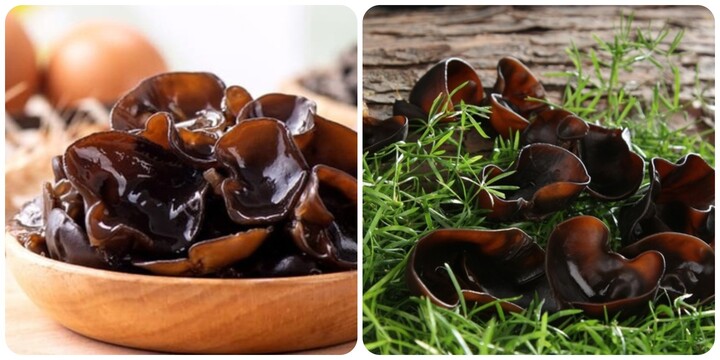 Mộc nhĩ kỵ gì? 5 thực phẩm 'xung khắc' với mộc nhĩ tuyệt đối không nấu cùng