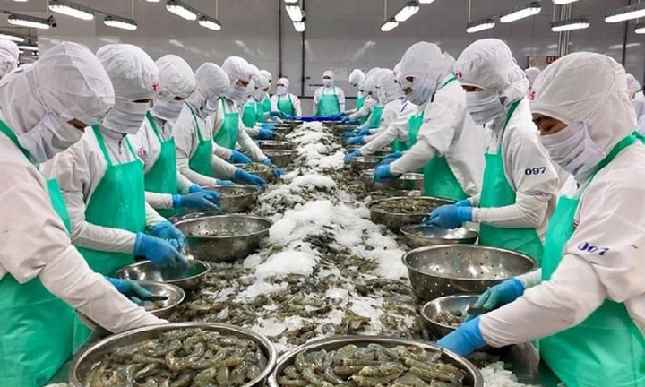 Vì sao doanh nghiệp thủy sản cạn đơn hàng xuất khẩu?