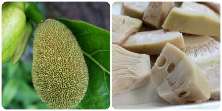 Quả mít non có tác dụng gì?