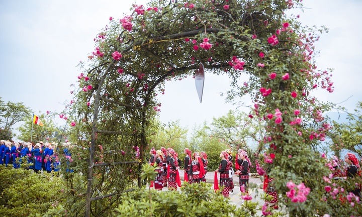 Bạt ngàn hoa hồng nở, Sun World Fansipan Legend khiến du khách thích thú 