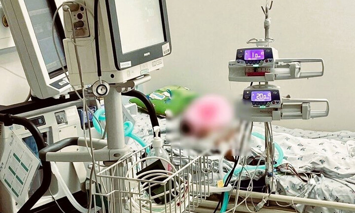 Nhiễm trùng máu khi mắc cúm A