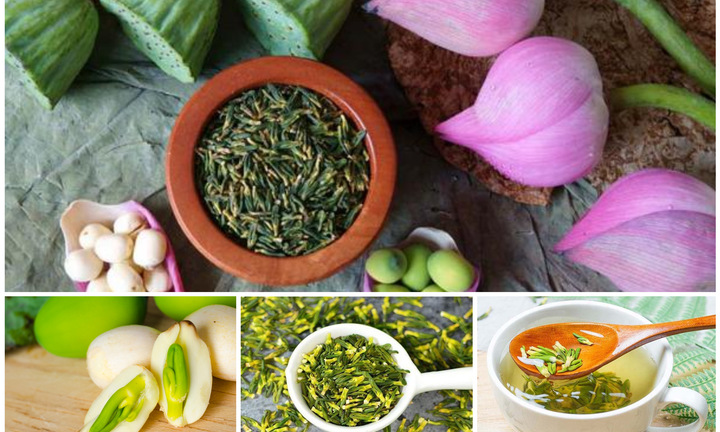 Uống trà tâm sen mỗi ngày có tốt không?