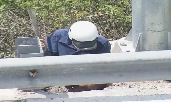 Bắt quả tang người đàn ông cắt dây cáp điện trên cao tốc