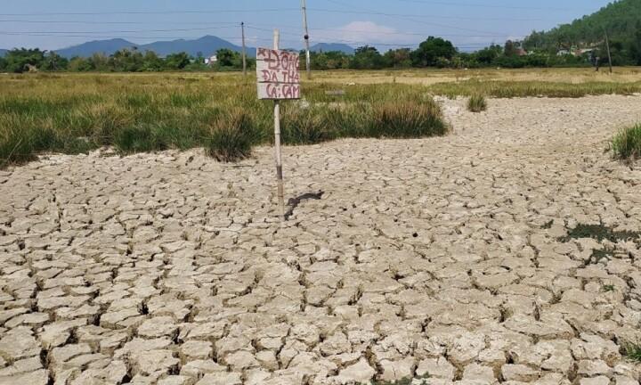 Sẽ có nhiều kỷ lục về nhiệt độ, mưa lũ bất thường trong năm 2023