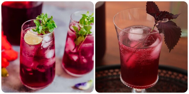 Uống nước lá tía tô có tác dụng gì?