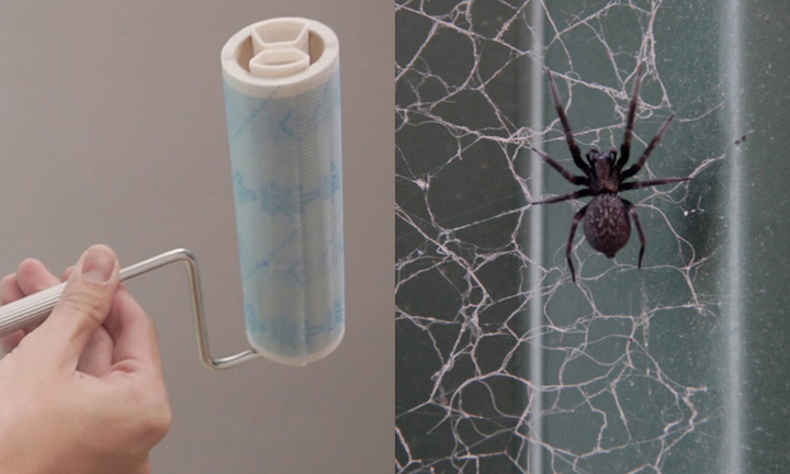 5 cách làm sạch mạng nhện hiệu quả, nhanh chóng