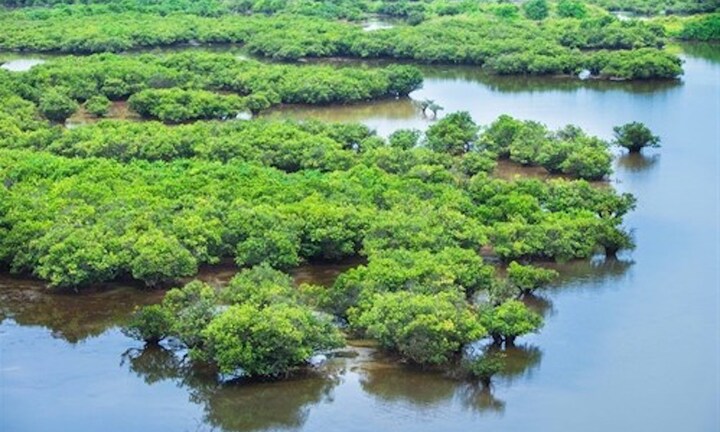 Phụ huynh, học sinh Hà Nội tử vong khi trải nghiệm bắt ngao ở vườn quốc gia