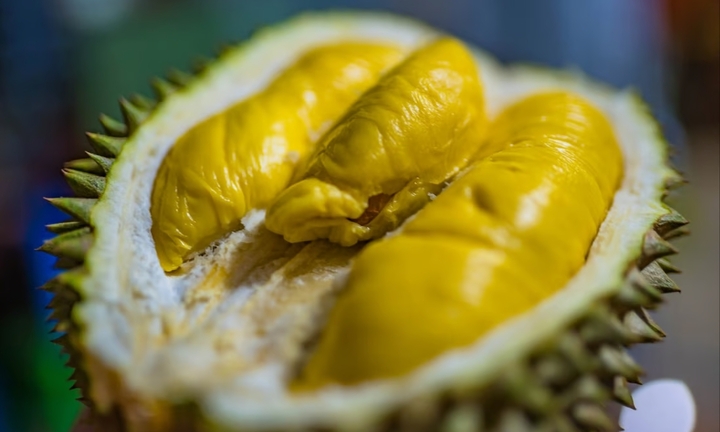 Trung Quốc trồng sầu riêng, đe dọa sự tồn tại nhà vườn ở Việt Nam và Đông Nam Á?