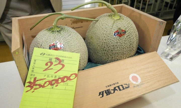 Cặp dưa lưới Nhật Bản giá gần 600 triệu đồng