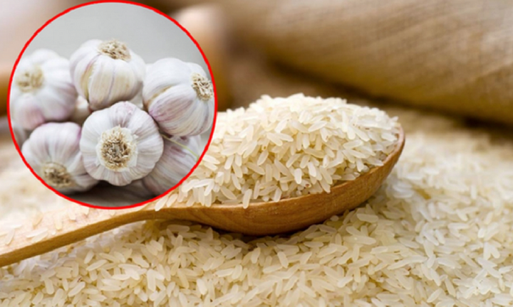 Vùi tỏi vào thùng gạo có lợi ích gì?