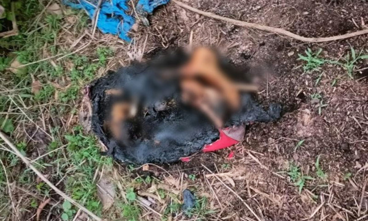 Vụ phân xác tại Bình Dương: Khi phát hiện, nạn nhân đã chết từ 8 - 14 ngày