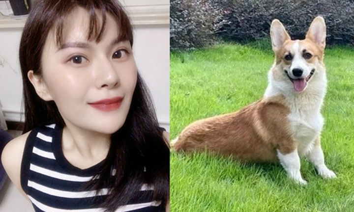 Giết chó cưng dọa vợ, người đàn ông gặp quả đắng 