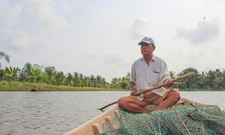 Mô hình sản xuất tôm - lúa hiệu quả ở Kiên Giang