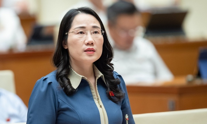 Đại biểu Quốc hội kiến nghị thanh tra toàn diện bảo hiểm nhân thọ