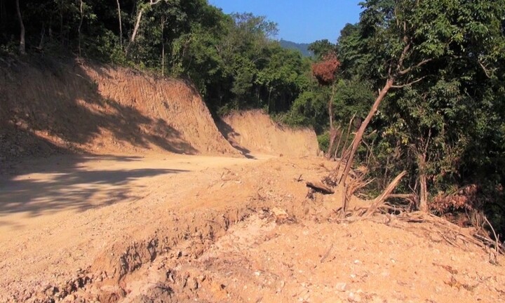 Phá rừng tự nhiên để mở đường, lãnh đạo thị xã Đức Phổ chỉ đạo 'nóng'