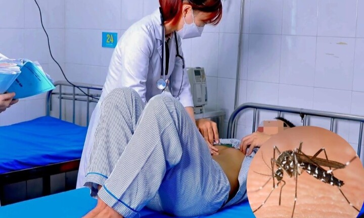 Mưa vào mùa, TP.HCM cảnh báo nguy cơ bùng phát sốt xuất huyết 