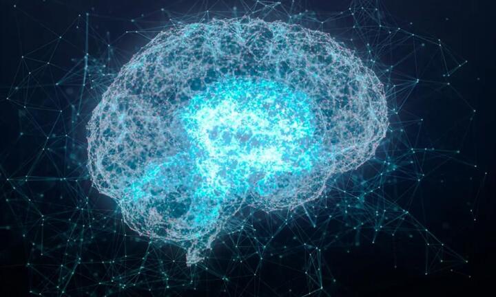 Lần hiếm hoi ghi được hoạt động não bộ trong thời khắc cận tử của con người