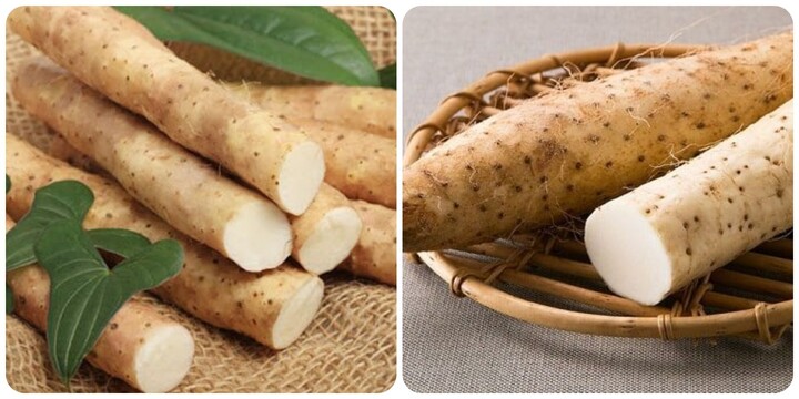 Tác dụng của củ mài