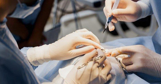 TP.HCM: Đình chỉ hoạt động 18 tháng Phòng khám thẩm mỹ Sao Hàn 1