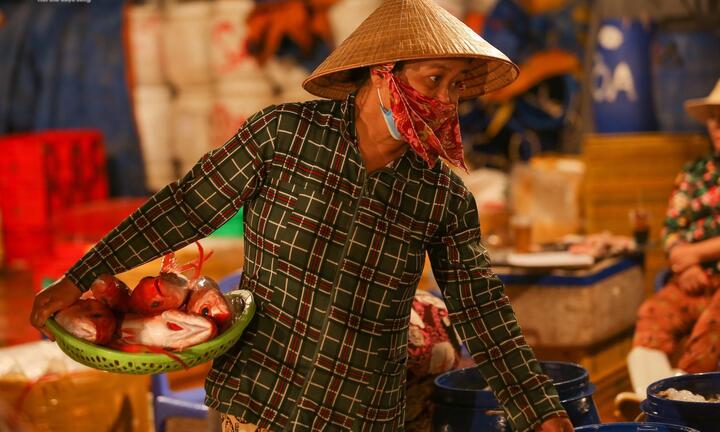 Đêm dài trĩu nặng mưu sinh của những người đàn bà nơi cảng cá