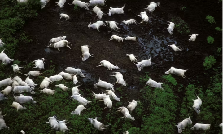 Kỳ lạ hồ nước đẹp như tranh vẽ, nhưng từng giết gần 2.000 người trong một đêm