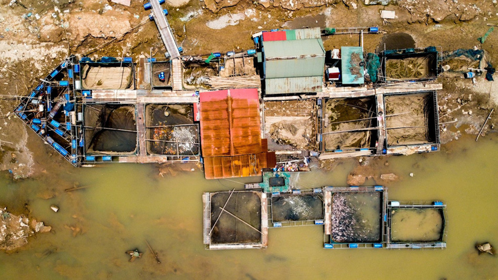 Ngư dân vất vả di chuyển lồng cá khắp sông Đà