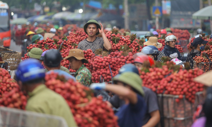 Bắc Giang: Nông dân ào ạt thồ vải thiều đi cân bán, phố phường được nhuộm đỏ ối
