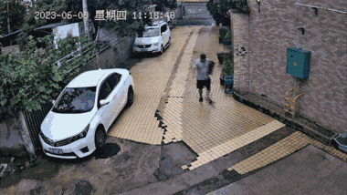 Rắn lao ra từ góc tường tấn công người đi bộ