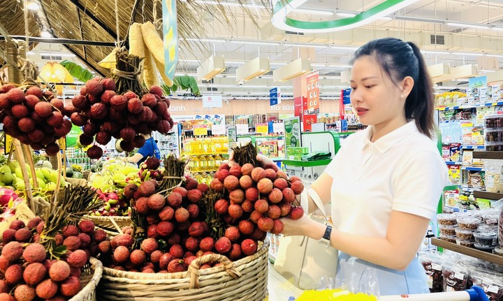 Saigon Co.op tưng bừng tổ chức Ngày hội Gia đình Việt Nam 28/6