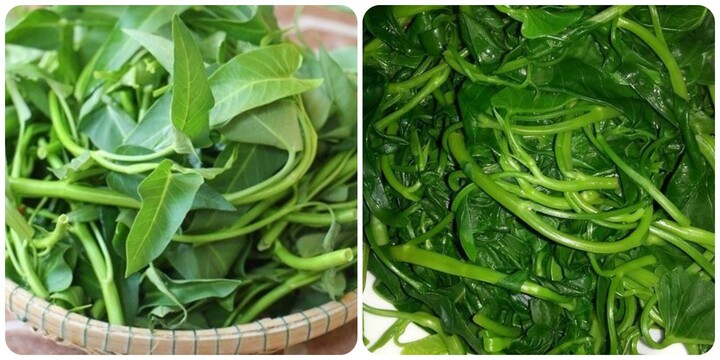 3 cách nhận biết rau muống nhiễm chì đơn giản nhất