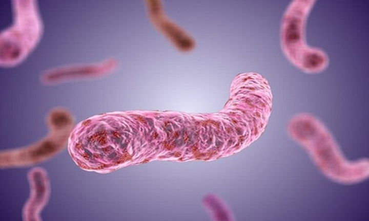 Hoại tử cẳng chân do nhiễm vi khuẩn ‘ăn thịt người’