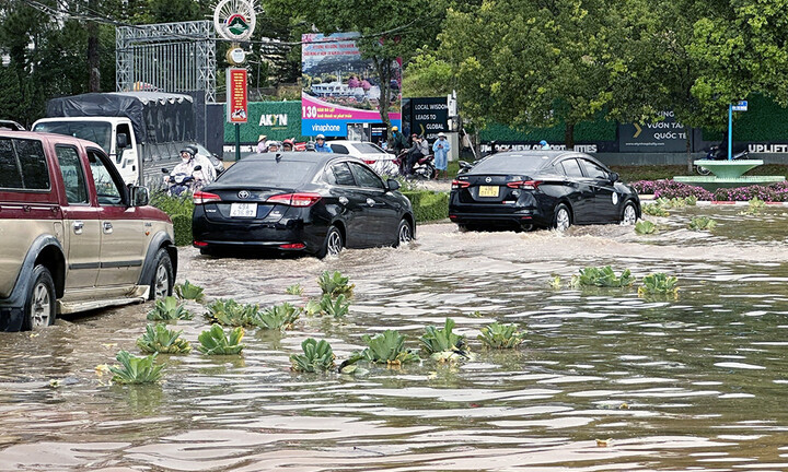 Đà Lạt ngập nặng, cây xanh ngã đổ sau mưa lớn