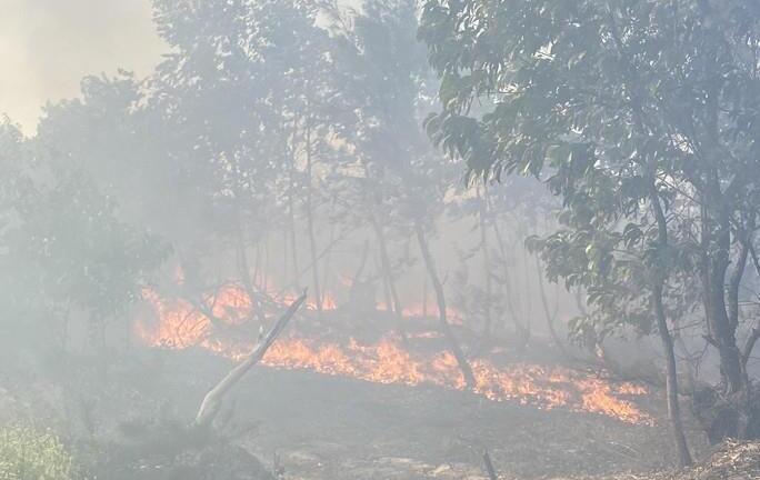 Rừng ven biển Quảng Nam cháy lớn