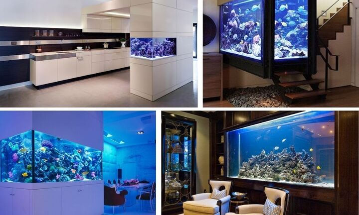 Đặt bể cá cảnh trong nhà có tốt không?
