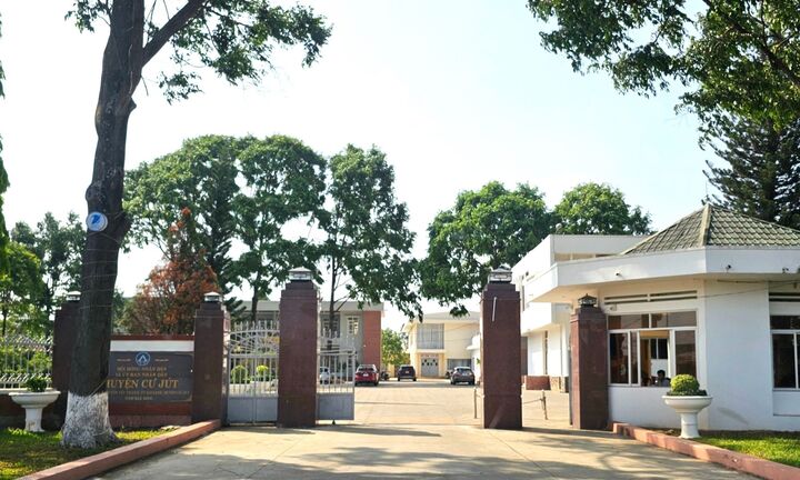 Ăn trộm cây hoa giấy, trưởng phòng Tư pháp bị cách chức