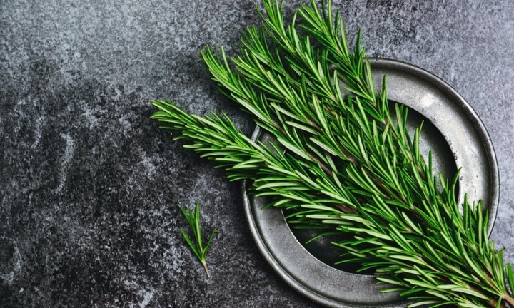 8 lợi ích sức khỏe ít người biết của trà hương thảo