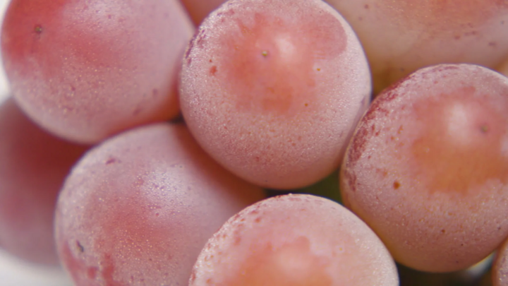 Vì sao nho đắt nhất thế giới lại có giá rẻ bất ngờ?