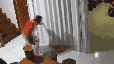 Mèo cưng 'nổi điên' liên tục tấn công chủ 