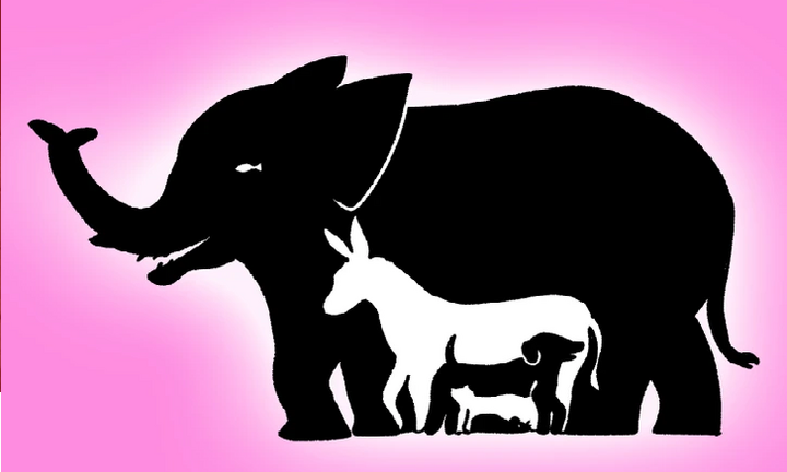 Bạn nhìn thấy bao nhiêu con vật trong bức hình này?