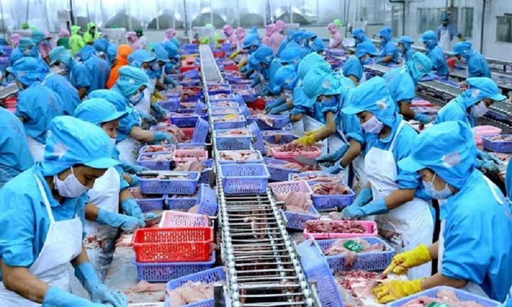 Dành 15.000 tỷ đồng hỗ trợ lĩnh vực Lâm, Thủy sản với lãi suất thấp