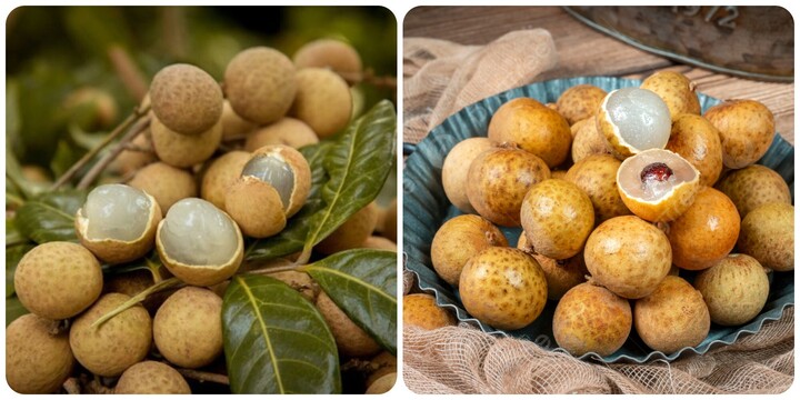 Quả nhãn có tác dụng gì?