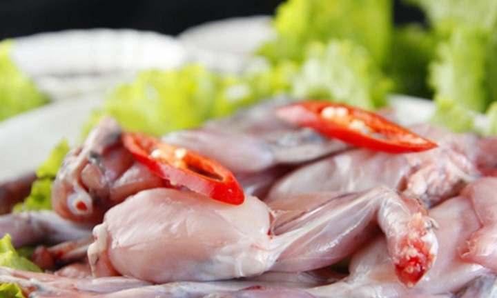 Trẻ suy dinh dưỡng có nên ăn thịt cóc?