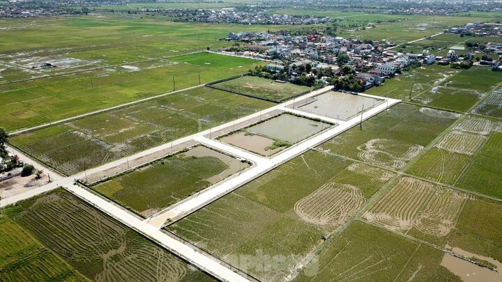 Nghệ An: Huyện đề nghị tỉnh thanh tra toàn diện vụ kế toán xã đấu giá trúng 23 lô đất