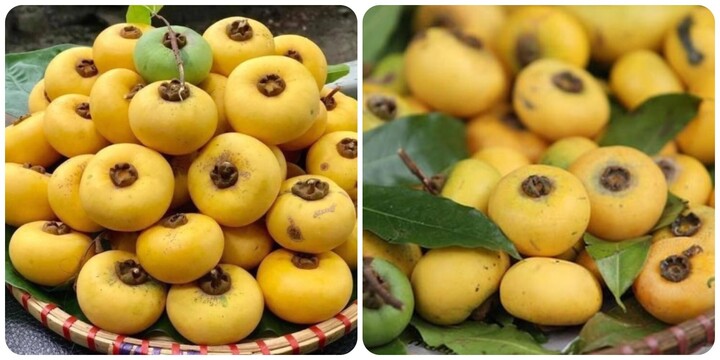 Quả thị có ăn được không?